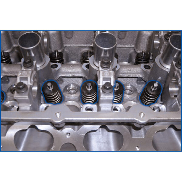 FOT_ANW_ALG_BT_BT541050.AW1_SALL_AING_V1