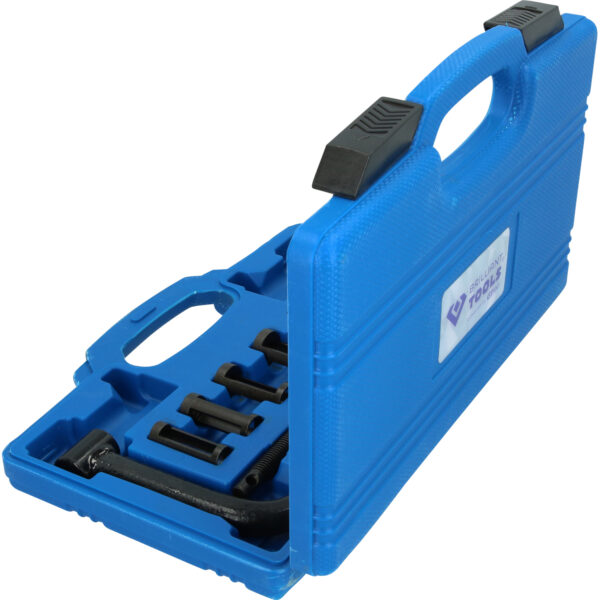 FOT_PRO_VAR_BT541050.1_SALL_AING_V1