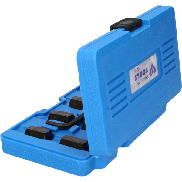 FOT_PRO_VAR_BT542000.1_SALL_AING_V1