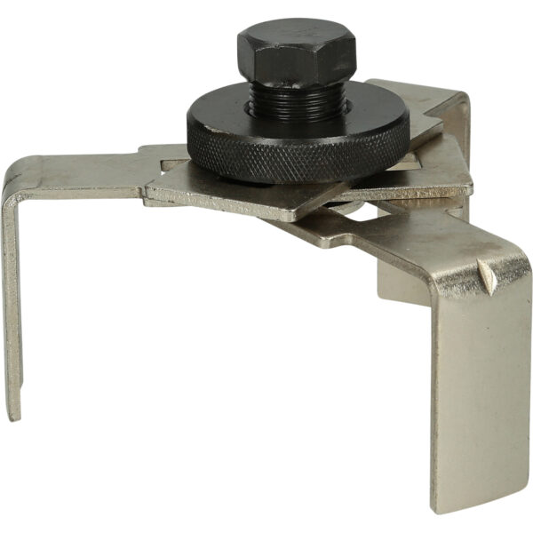 FOT_BT_ALG_BT536007_SALL_AING_V1