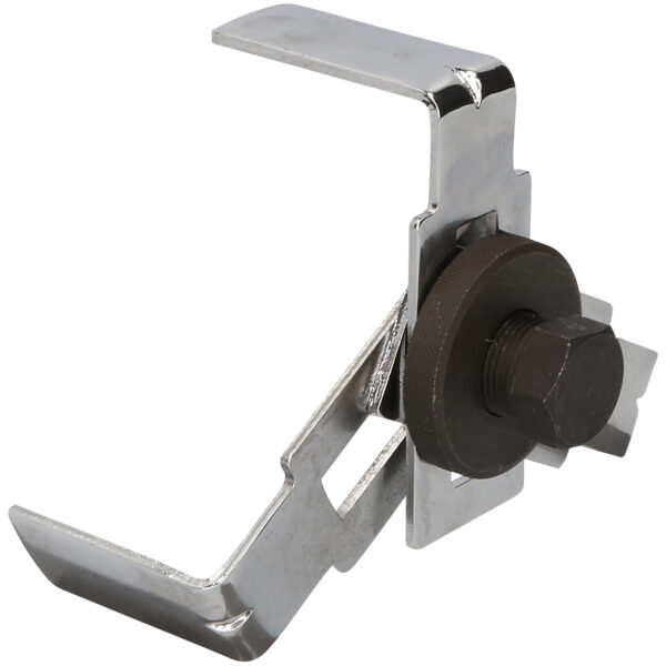 FOT_PRO_VAR_BT536007.1_SALL_AING_V1