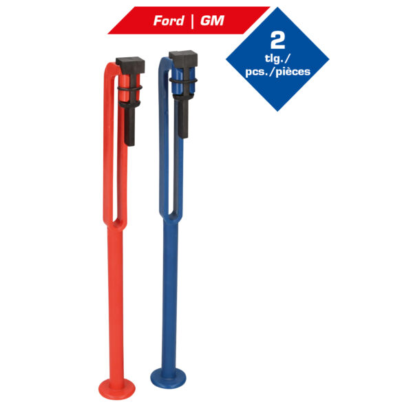 FOT_GES_ALG_BT536001.GB_SALL_AING_V1