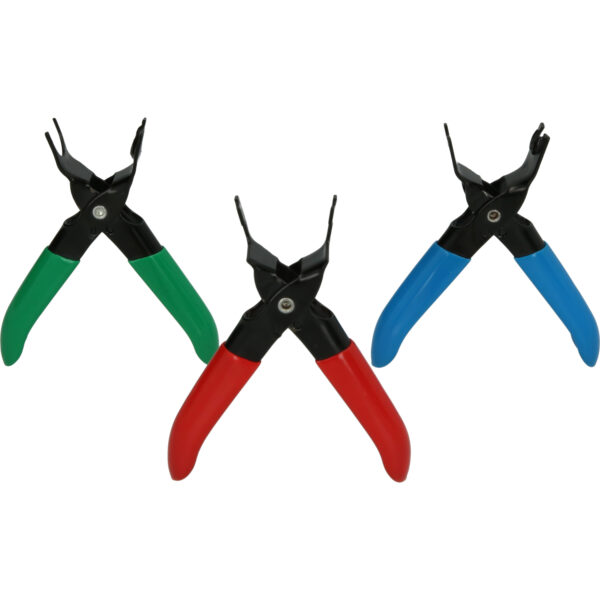 FOT_PRO_VAR_BT531000.2_SALL_AING_V1