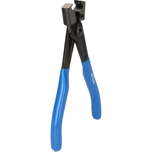 FOT_PRO_VAR_BT526003.1_SALL_AING_V1