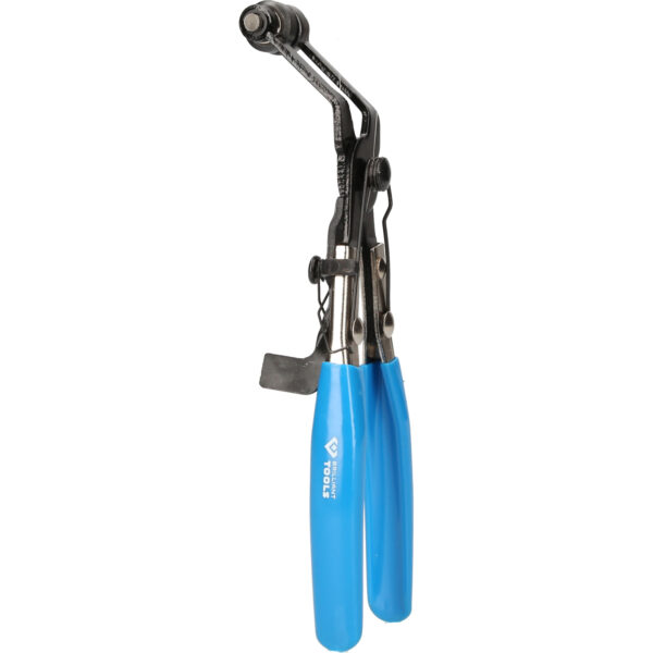 FOT_PRO_VAR_BT526002.1_SALL_AING_V1