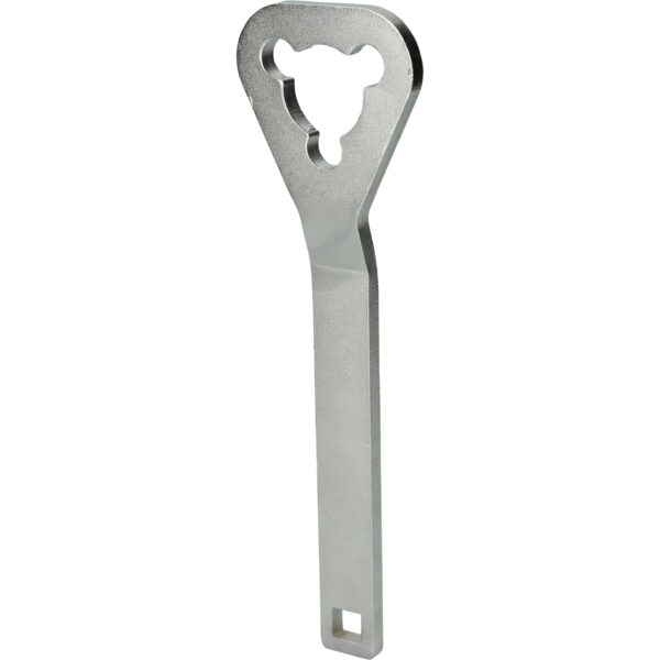 FOT_BT_ALG_BT526007_SALL_AING_V1