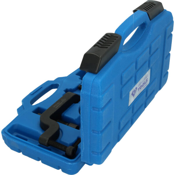 FOT_PRO_VAR_BT521300.1_SALL_AING_V1