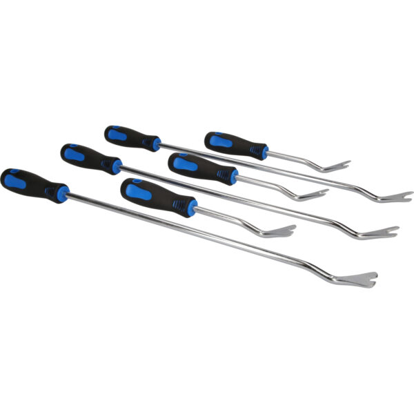 FOT_PRO_VAR_BT511045.1_SALL_AING_V1