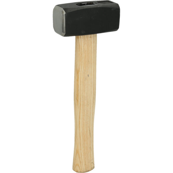 FOT_PRO_VAR_BT071910.2_SALL_AING_V1