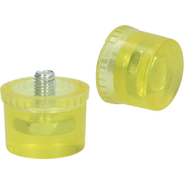 FOT_PRO_VAR_BT071931.1_SALL_AING_V1