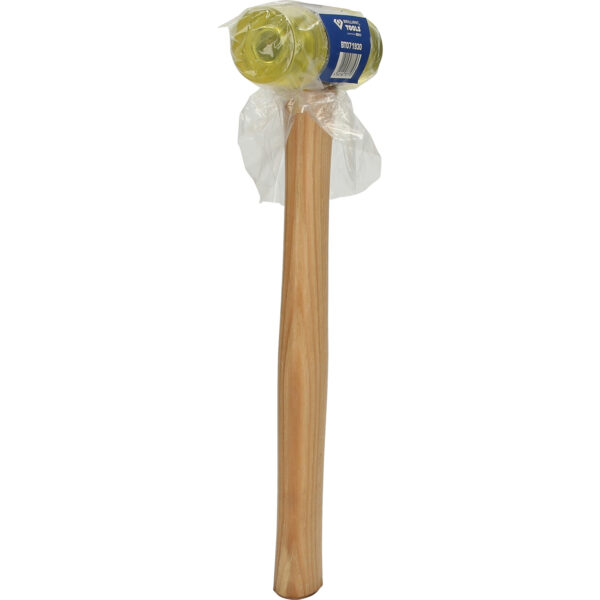 FOT_PRO_VAR_BT071930.7_SALL_AING_V1