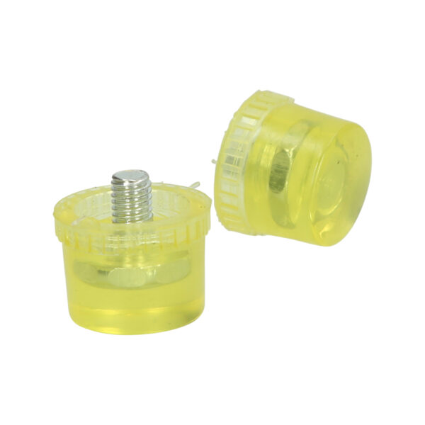 FOT_PRO_VAR_BT071926.1_SALL_AING_V1