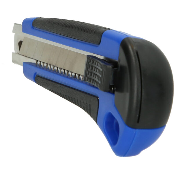 FOT_PRO_VAR_BT102900.1_SALL_AING_V1