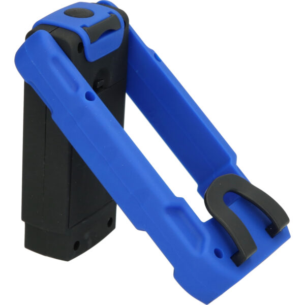 FOT_PRO_VAR_BT131910.1_SALL_AING_V1