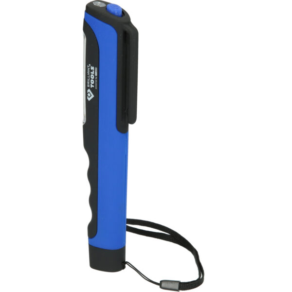 FOT_PRO_VAR_BT130900.1_SALL_AING_V1