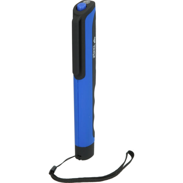 FOT_PRO_VAR_BT130900.2_SALL_AING_V1