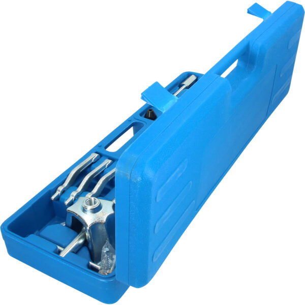 FOT_PRO_VAR_BT671350.1_SALL_AING_V1