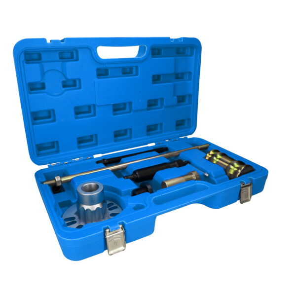 FOT_BT_VAR_BT671200.1_SALL_AING_V1