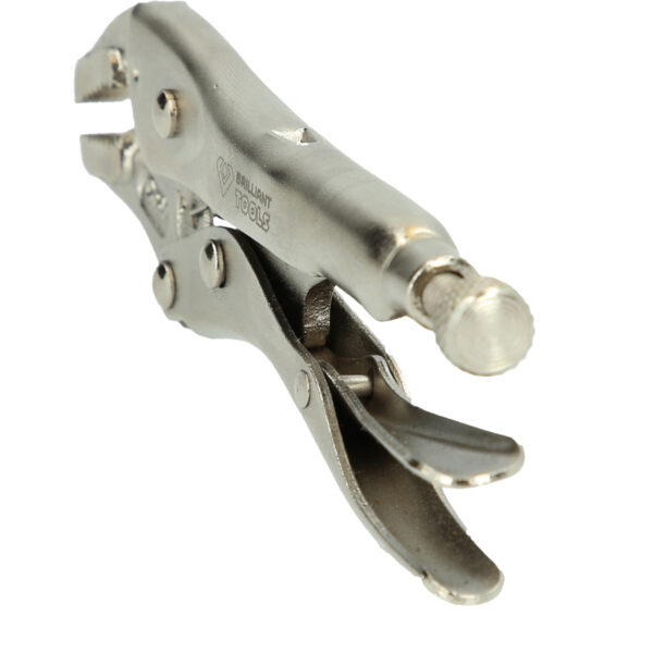 FOT_PRO_VAR_BT065902.1_SALL_AING_V1