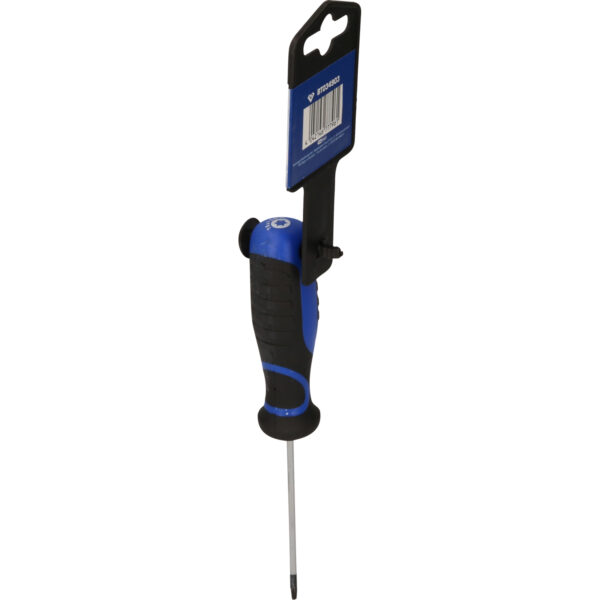 FOT_PRO_VAR_BT034903.5_SALL_AING_V1