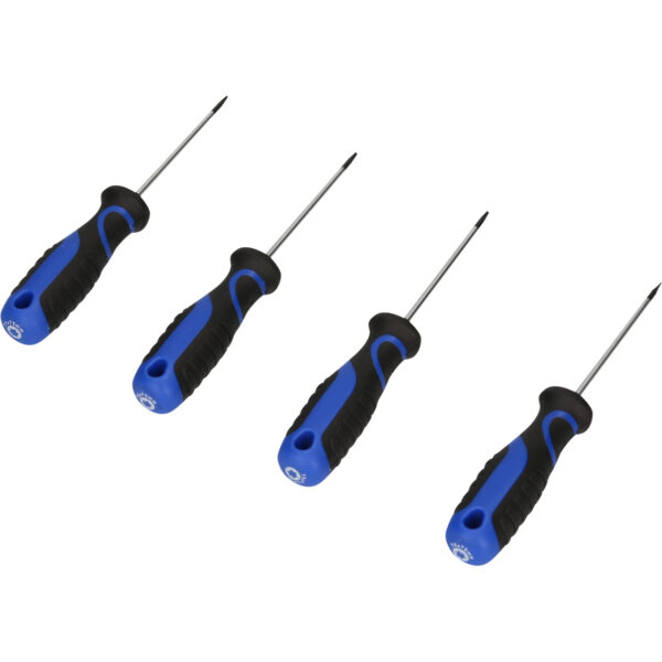 FOT_PRO_VAR_BT034004.2_SALL_AING_V1