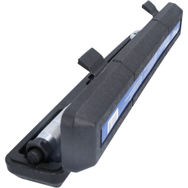 FOT_PRO_VAR_BT142005.1_SALL_AING_V1