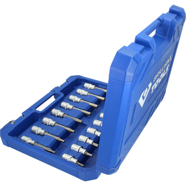 FOT_PRO_VAR_BT022030.1_SALL_AING_V1