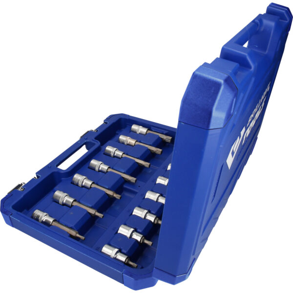 FOT_PRO_VAR_BT022026.1_SALL_AING_V1