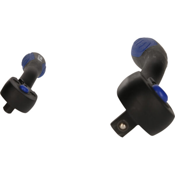 FOT_PRO_VAR_BT023002.1_SALL_AING_V1