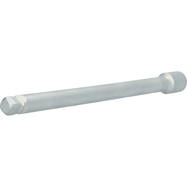 FOT_PRO_ALG_BT022913_SALL_AING_V1