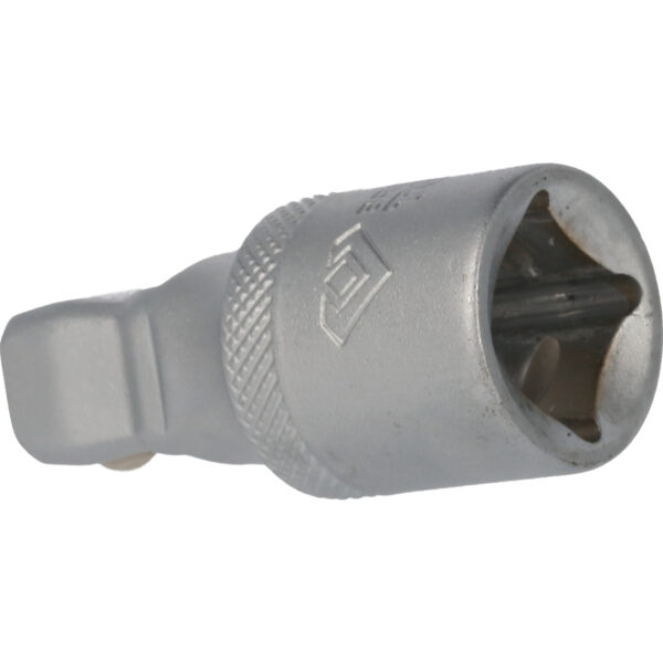 FOT_PRO_VAR_BT022911.1_SALL_AING_V1