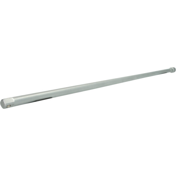 FOT_PRO_ALG_BT022910_SALL_AING_V1