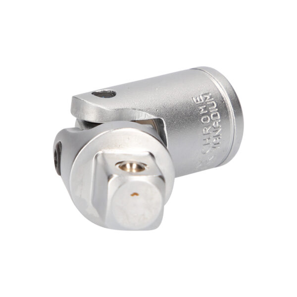 FOT_PRO_VAR_BT022904.3_SALL_AING_V1