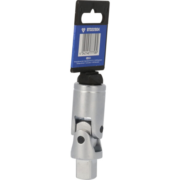 FOT_PRO_VAR_BT022904.5_SALL_AING_V1