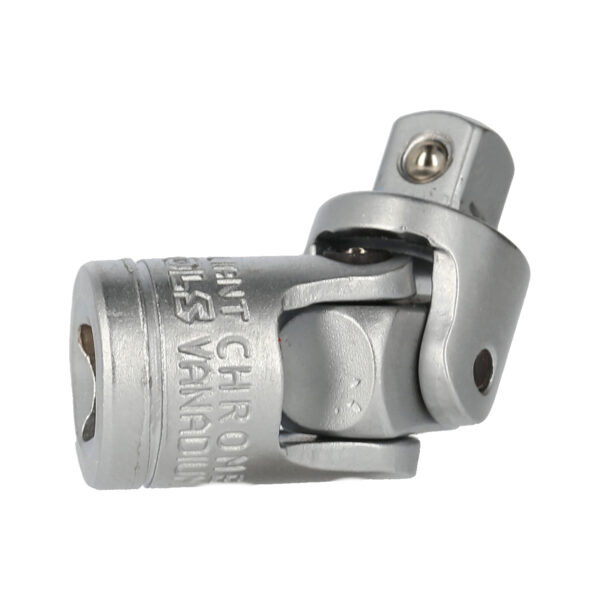 FOT_PRO_VAR_BT020906.1_SALL_AING_V1