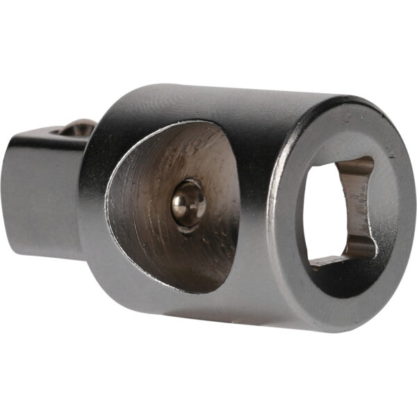 FOT_PRO_VAR_BT022903.1_SALL_AING_V1