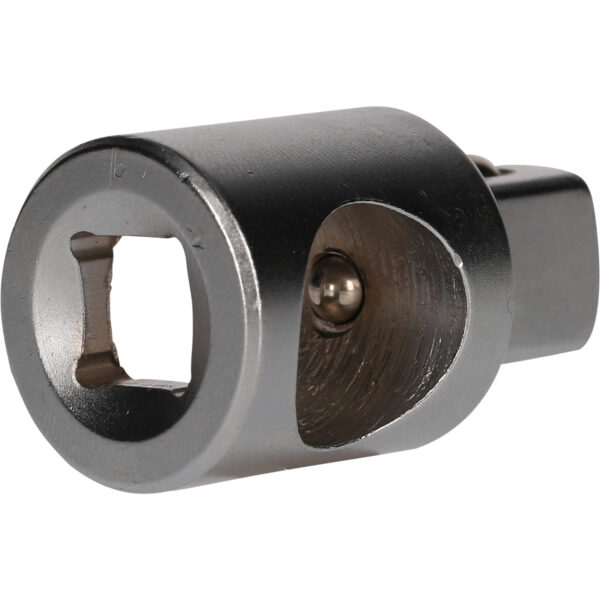 FOT_PRO_VAR_BT022903.2_SALL_AING_V1