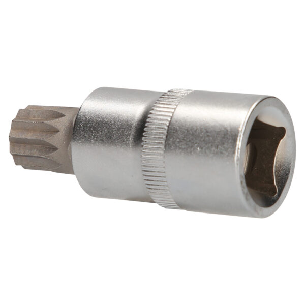 FOT_PRO_VAR_BT022936.1_SALL_AING_V1