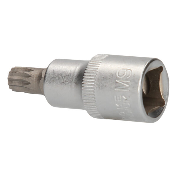 FOT_PRO_VAR_BT022933.1_SALL_AING_V1