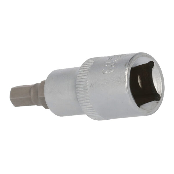 FOT_PRO_VAR_BT022862.1_SALL_AING_V1