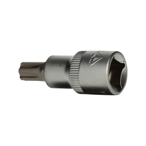 FOT_PRO_VAR_BT022725.1_SALL_AING_V1