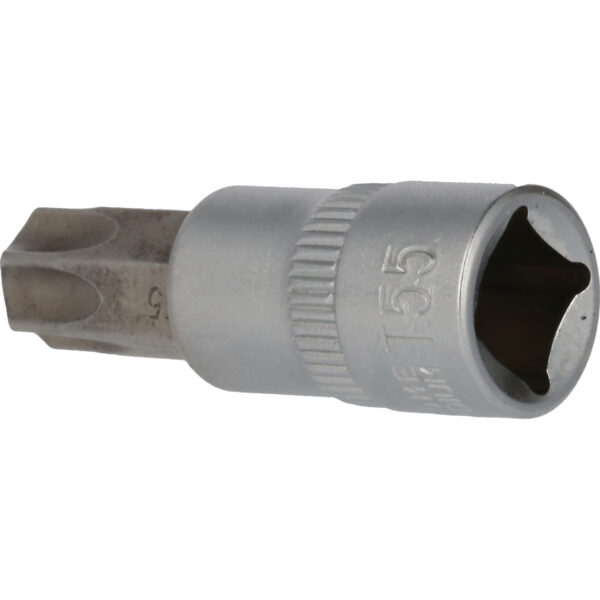 FOT_PRO_VAR_BT021949.1_SALL_AING_V1