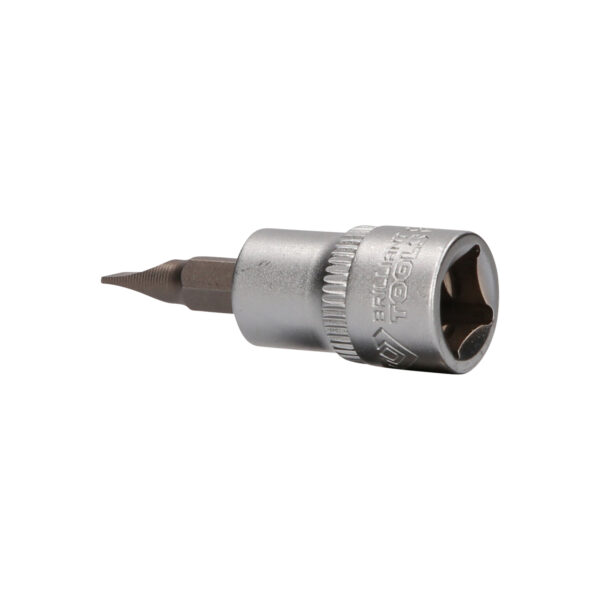 FOT_PRO_VAR_BT021860.1_SALL_AING_V1