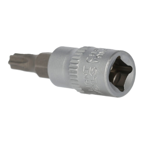 FOT_PRO_VAR_BT020984.1_SALL_AING_V1