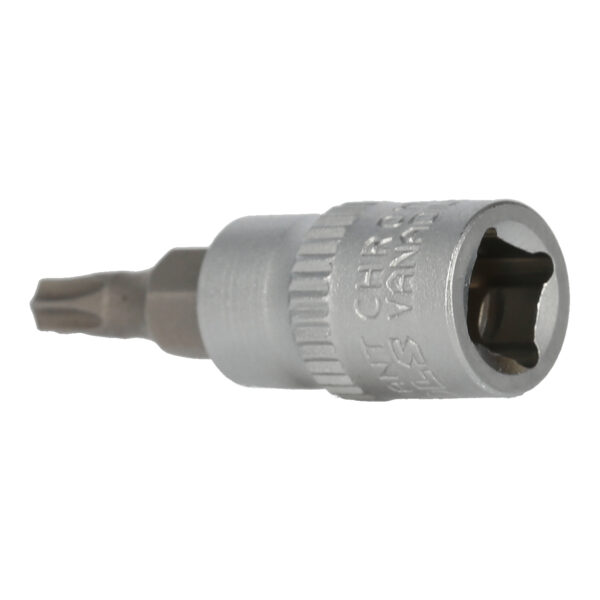 FOT_PRO_VAR_BT020983.1_SALL_AING_V1