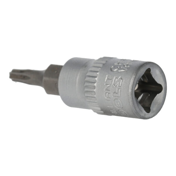 FOT_PRO_VAR_BT020981.1_SALL_AING_V1