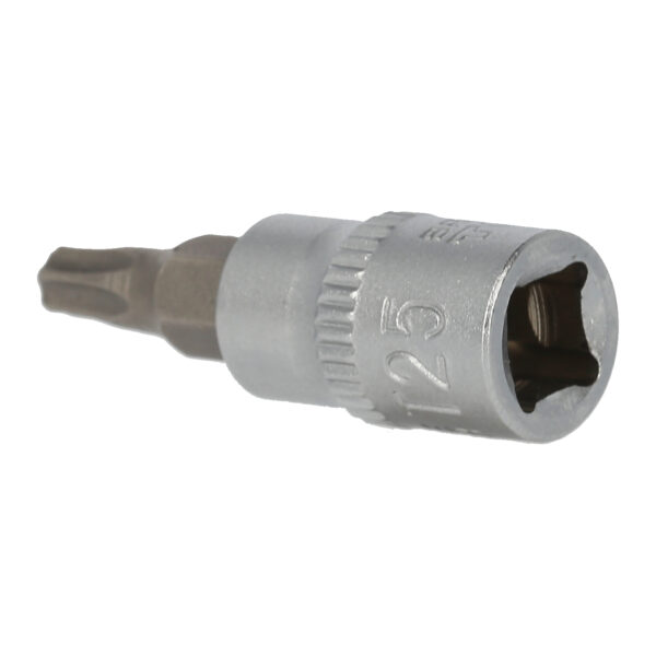 FOT_PRO_VAR_BT020974.1_SALL_AING_V1