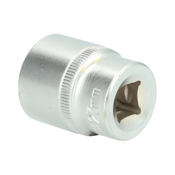 FOT_PRO_VAR_BT022816.1_SALL_AING_V1