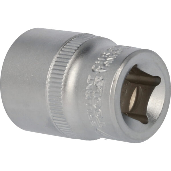 FOT_PRO_VAR_BT022813.1_SALL_AING_V1