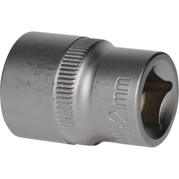 FOT_PRO_VAR_BT022812.1_SALL_AING_V1